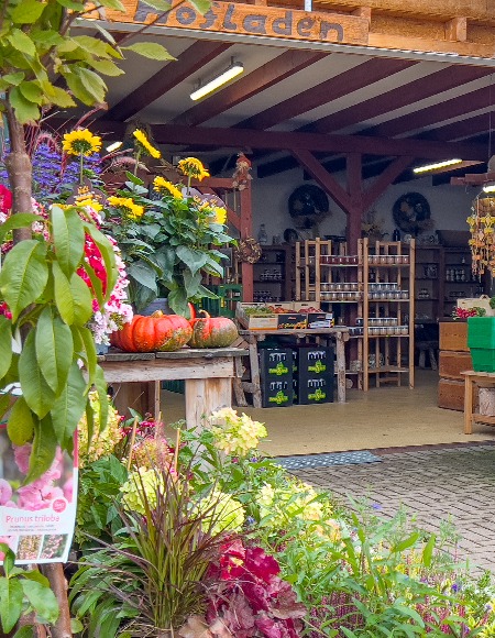Pflanzenmarkt Magdeburg