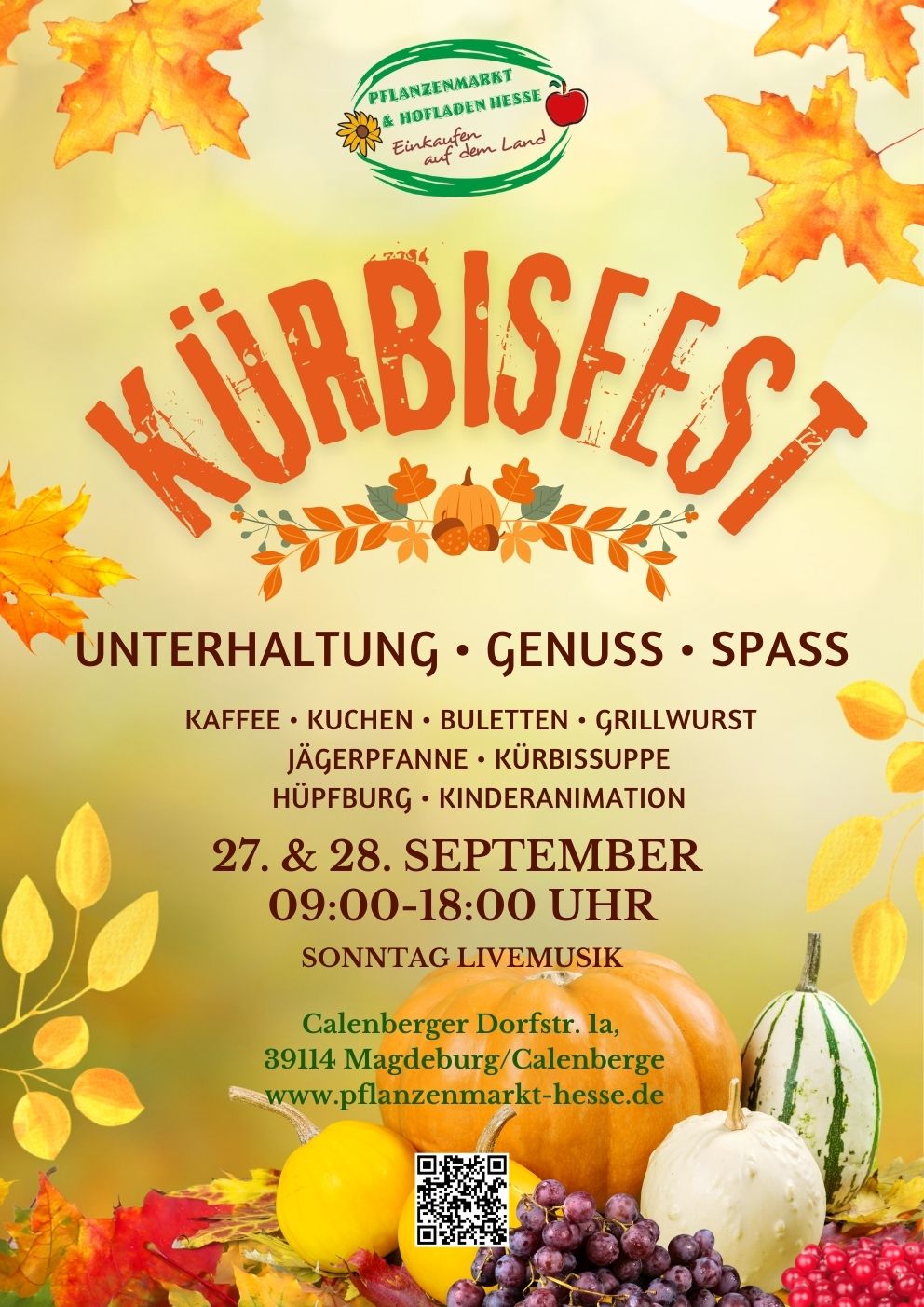 KÜRBIS_Web